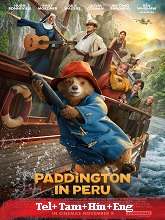 Paddington in Peru